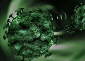 下一个全球“毒王”来袭？传播效率高出同系病毒逾1倍 全球29国沦陷，新冠新变种XBB.1.16！