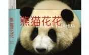 《熊猫花花》正式发布 是记录大熊猫“花花”的首部作品