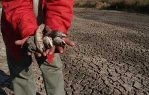 乌拉圭百年来最严重旱灾致饮用水短缺