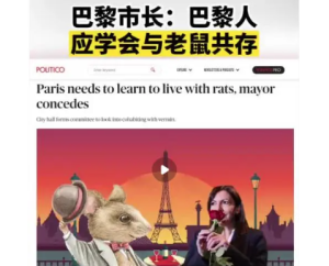 巴黎治鼠患失败 每年花150万欧灭鼠无效 市长投降