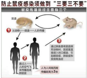 内蒙古报告3例鼠疫病例 专家：避免接触野生动物