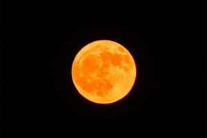 月如圆盘 内蒙古呼伦贝尔上空现“金色”月亮