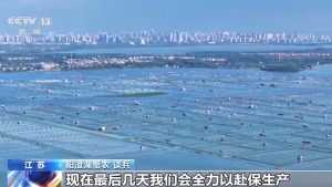 阳澄湖大闸蟹被台风“吹”跑了？记者实地探访