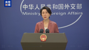 外交部：堅決反對歐方無理制裁中國企業(yè)