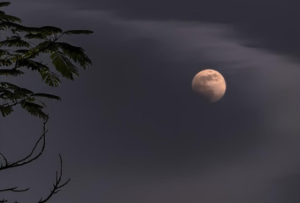 今年最后一次超级月亮看了吗？