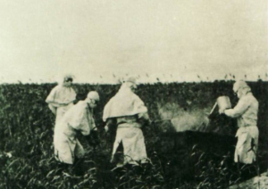 從人體實(shí)驗(yàn)到細(xì)菌戰(zhàn) 原隊(duì)員揭露731部隊(duì)殘忍罪行