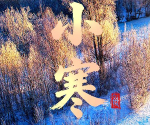 今日小寒 愿你心向暖阳 静待春归