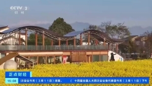 油菜花田里吃火锅 解锁赏花季全新体验