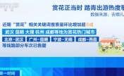 太火爆！火车票售罄！这些城市，真“香”