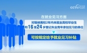 “组合拳”助力高校毕业生高质量充分就业