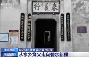 洪湖碧水忆峥嵘 红色水乡绘就乡村振兴新图景