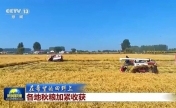 全国秋粮收获已过四成 各地保障颗粒归仓