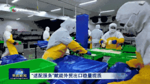 威海荣成市：“适配服务”赋能外贸出口稳量提质