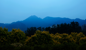 “跟着短剧游大同灵丘篇”之《人生旅途》开机