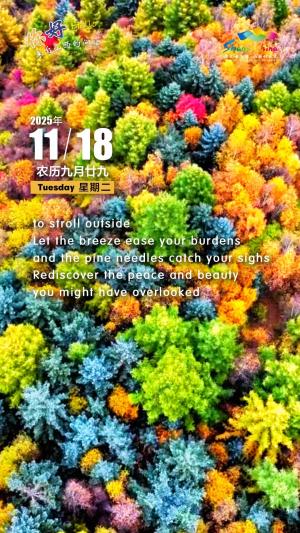 Hello, greetings from Shanxi—Nanshan Mountain 你好，来自山西的问候—神池 南山（2A景区）