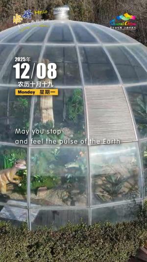 Hello, greetings from Shanxi—Xianweng Mountain Petrified Wood Tourist Area 你好，来自山西的问候—长子县仙翁山木化石景区（3A景区）