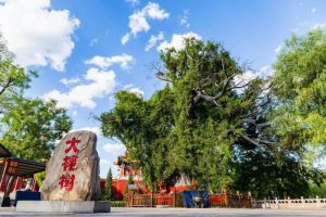【Shanxi's Cultural Landscape】Roots of Chinese Civilization (Linfen)