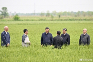 Xi Jinping'den tahıl ve enerji güvenliği vurgusu