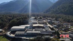 粤藏同心茶韵飘香:广东援藏赋能易贡茶场蝶变