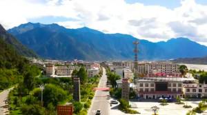 高原菜篮满 群众增收忙  ——米林市供销社多举措激活乡村产业发展新动能