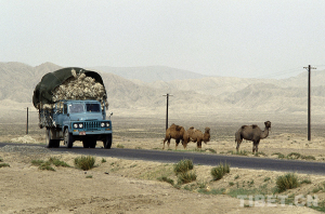 【藏北故事】留在心中的歌：吉祥“天路”写传奇