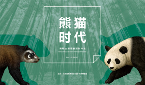 揭秘大熊猫前世今生 近90件珍稀化石标本在京展出
