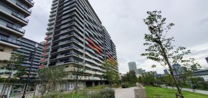 东京湾再现中国红！直击中国残奥代表团驻地