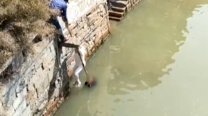 暖流 | 74岁老人跳水勇救落水男童