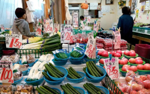 日本内阁府年度调查：七成受访者认为物价状况恶化