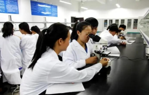 硕士生和研究生区别在哪 d8d178b6-59bf-4af5-ab19-ca942e8444db.png