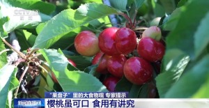 樱桃食用有讲究 专家建议：每日摄入不超250克