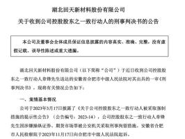 A股龙头原董事长获刑八年，罚款1.5亿，市场震荡下的企业责任与法律惩戒