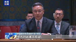 中方呼吁推動紅海局勢盡快降溫