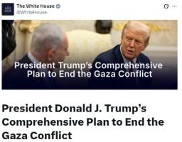 20點(diǎn)計(jì)劃是和平曙光還是加沙新導(dǎo)火索 多方反應(yīng)不一