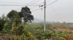 校长教练合谋投毒致7死 死者家属发声 希望赔偿尽快落实