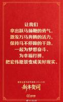 这3个带“马”的成语太给劲了 激发奋斗活力