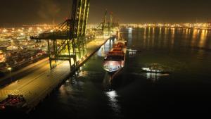 北方今冬首船智利车厘子抵津 丰富百姓餐桌