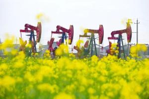 中石油等能源央企负责人薪酬披露 年薪均未超百万