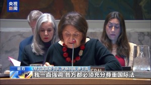 安理会成员谴责美国对委内瑞拉军事行动