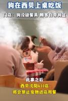 宠物在餐厅座椅进食引争议 门店回应 将禁止宠物进店用餐