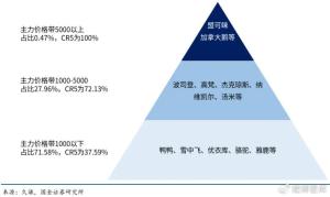 羽绒服不再“围攻波司登” 市场进入多元竞争时代