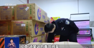 男子住宅楼囤150箱烟花线上售卖 被采取刑事强制措施