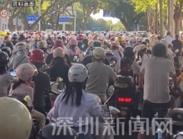 深圳电鸡大军破600万辆 平均每3人就有一辆