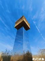 洞庭湖艺术装置被责令处理 或成候鸟威胁