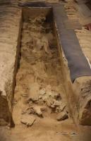 秦兵马俑考古,又有新发现!:二号坑出土两乘战车