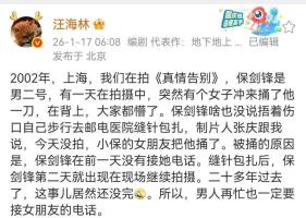 汪海林曝保剑锋未接女友电话被捅伤 昔日情侣纠纷再引热议