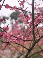 学者：美元弱不等于人民币必须一直涨 全球货币市场波动分析