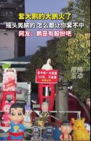 套大鹅的大鹅火了 摇头晃脑套不中 卖力表演引热议