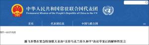 联大通过“支持乌克兰持久和平”决议 中方投弃权票表立场