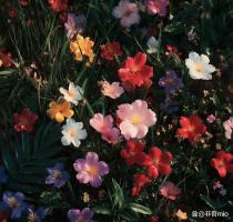 男童高速服务区被撞身亡 安全隐患引关注